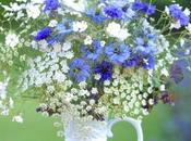 Vase Tuesday British Flowers Week