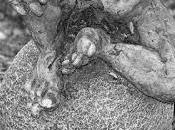 Catholic Priests Attempt Exorcise Demons from Mexico