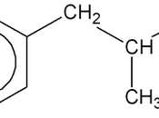 Amphetamine Turns Older Brains into Younger Brains.