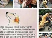 #StopYuLin2015 Save Innocent Animals