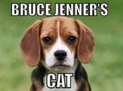 Saturday Funnies: Trans Edition!