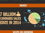 Growth Marijuana Dispensaries