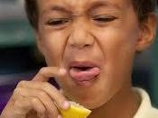 Turds Lemons? Commonweal Crowd Weigh Supremes' Decision