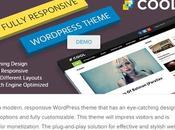 Premium WordPress Theme Under