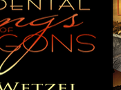 Accidental Wings Dragons Julie Wetzel: Book Review with Excerpt