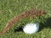 #Golf Tips Help Stop Hitting Behind Ball