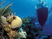 Oceans Can’t Take More: Fundamental Change Predicted