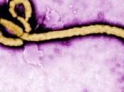Ebola Update: Crisis Over?