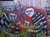 Sharks Formaldehyde: York’s People Made