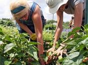 Methods Benefits Sustainable Agriculture