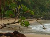 What Expect From Family Hotels Puerto Viejo Costa Rica