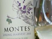 Wines Chile: Montes