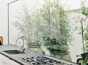 Light-Filled Kitchens