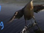 Sunday Surfing 26/7/15