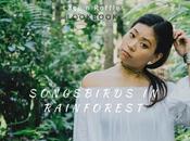 Songbirds Rainforest: Lace Ruffles Lookbook