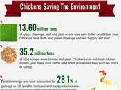 Would Love Have Chickens Garden. Scratching Ar...