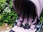 With iCandy Raspberry Pushchair