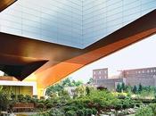 Crazy Cantilevers