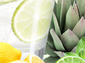 Agave Lime Fragrance