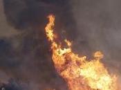 Hundreds Flee California Wildfires Governor Declares State Emergency