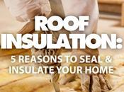 Roof Insulation: Reasons Seal Insulate Your Home