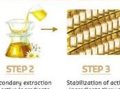 Beauty News: Belif Launches Chamomile Tincture Range!