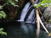 Frugal Trip: Silver Falls, Oregon