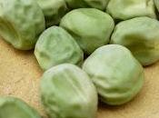 Saving Broad Bean Seeds