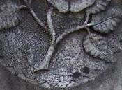 Remembering Friend Birthday: Holiness Ordinary