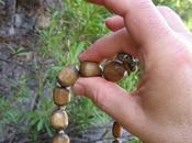 Mala String Prayer Beads