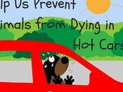 Help Prevent Animals from Dying Cars! #Infographic