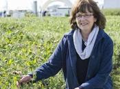 Progress Toward Perfect