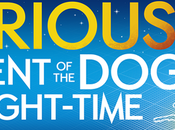 Curious Incident Night-Time Tour) Sunderland Review
