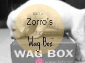 Unboxing Zorro's First Wagbox