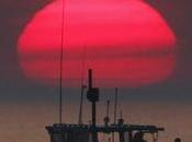 Lobster Population Shifting North; Ocean Warming Blamed