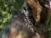 Homeless Rescues Woman from Wreck