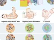 Epigenetics: Infant Biome