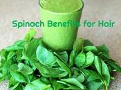 Spinach Hair Growth Best Ways