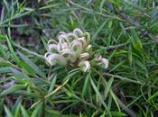 Springing into Action