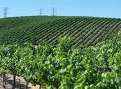 Know History Livermore Wine Valley?