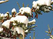 Snow Teaching Tool Kids Different Ages Developmental Levels