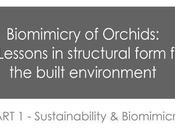 Biomimicry Orchids:Sustainability Part