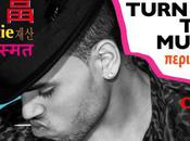 Chris Brown Turn Music