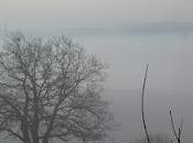 Definition Blog Post...