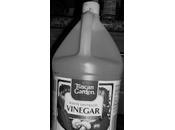 Vinegar Your Wood Floors!!!!!