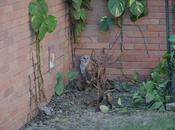 February 2012 (365 Photo Challenge)