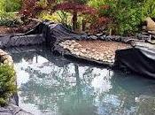 Where Pond Liners Online?