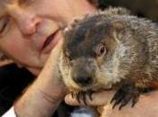 Groundhog Long History, Does Punxsutawney Phil