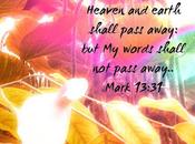 Word Week Mark 13:31