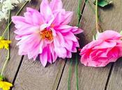 Sunday Bouquet: Morning Garden Cuttings